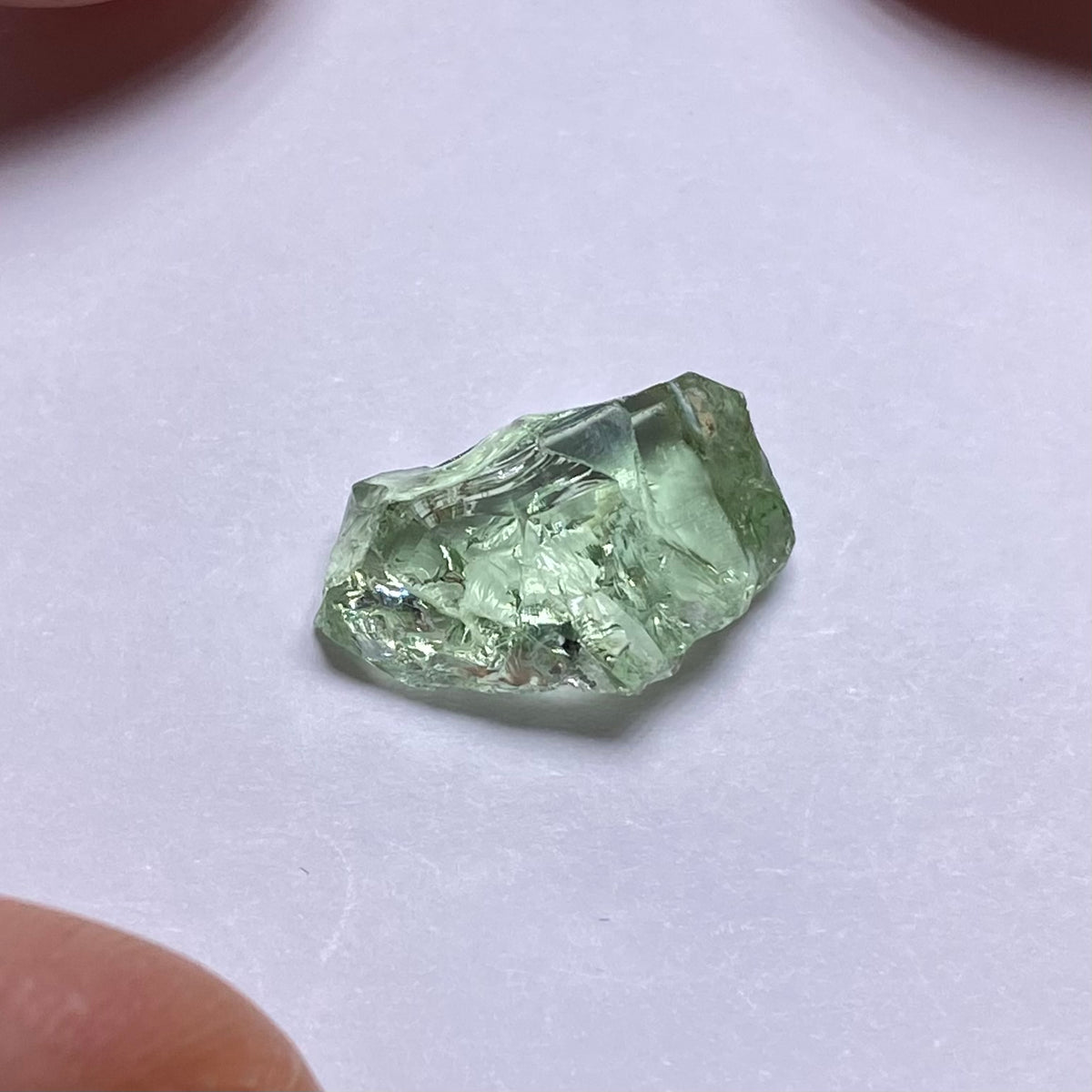 Merelani Mint Garnet