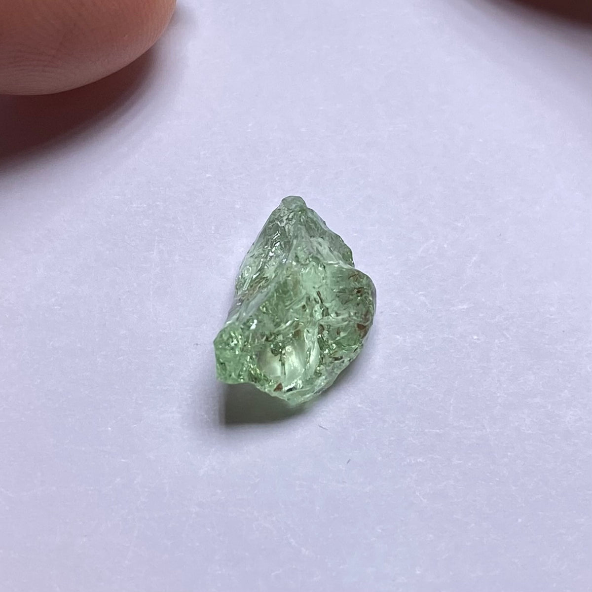 Merelani Mint Garnet