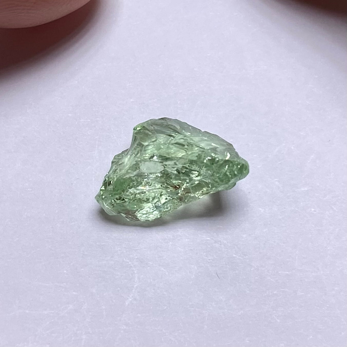 Merelani Mint Garnet