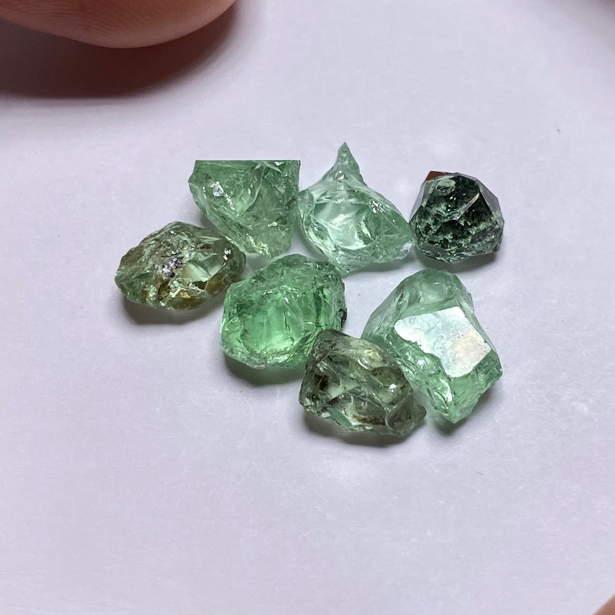 Merelani Mint Garnet