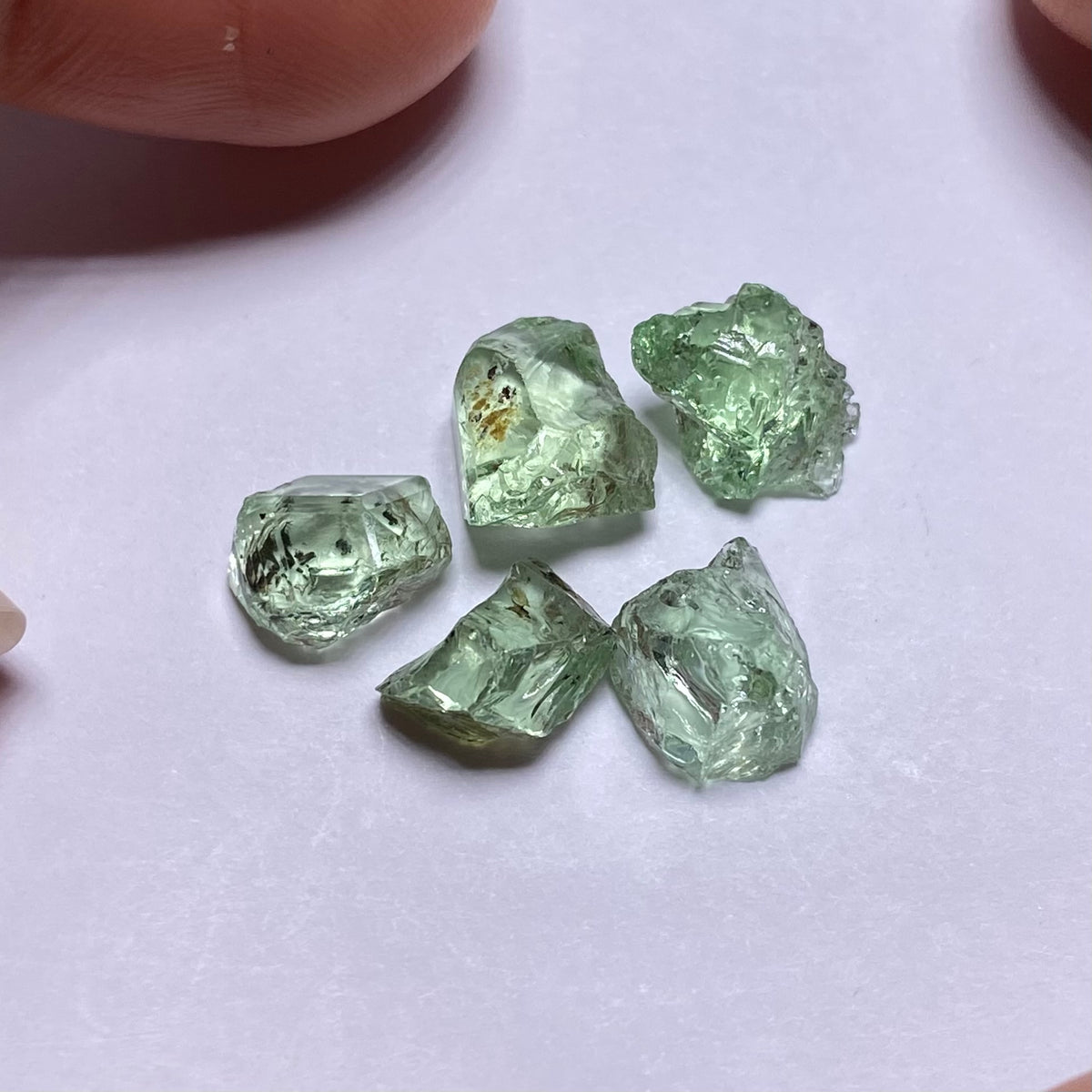 Merelani Mint Garnet