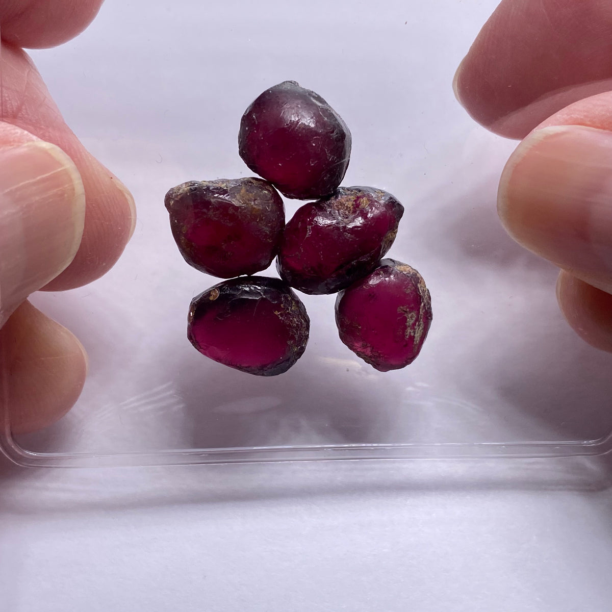 Rhodolite - Kenya