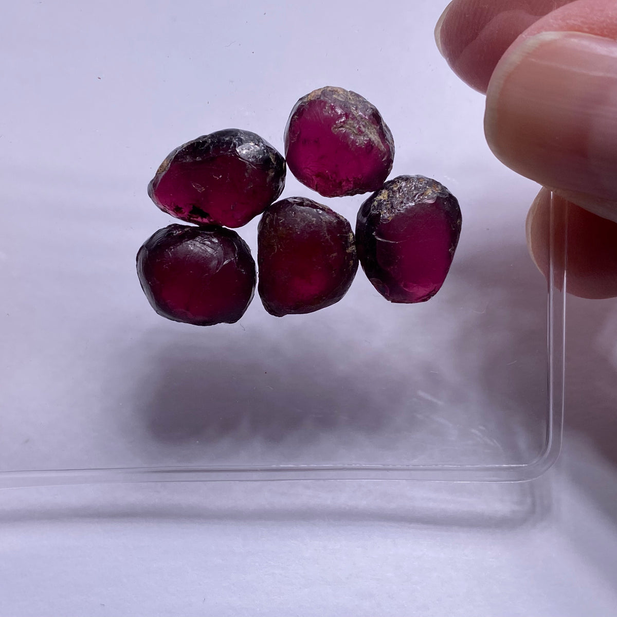 Rhodolite - Kenya