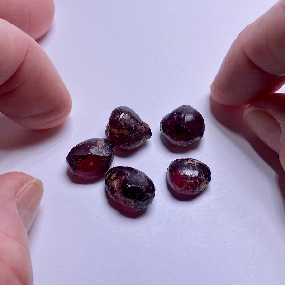 Rhodolite - Kenya
