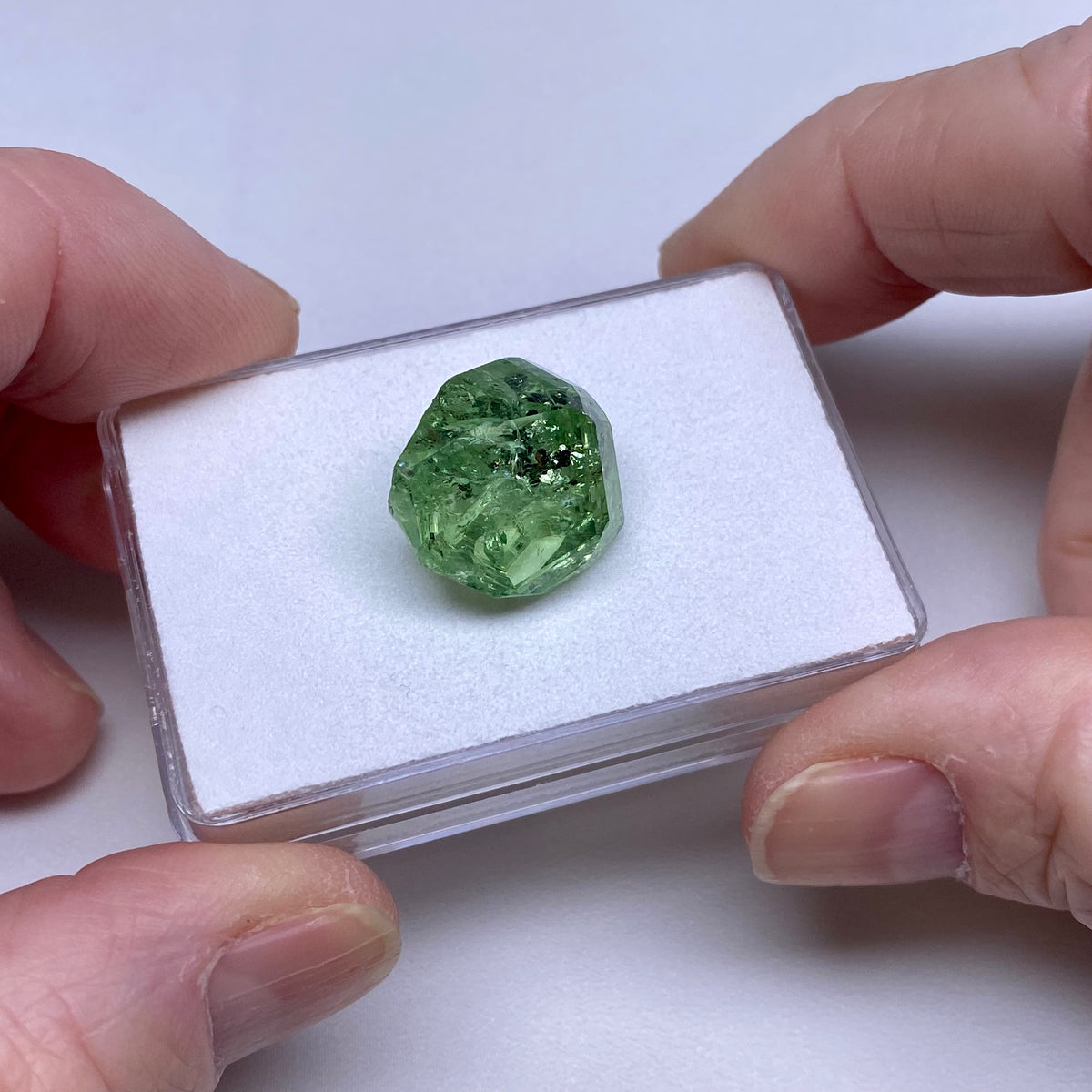 Grossular Mint Garnet - Merelani Hills, Tanzania