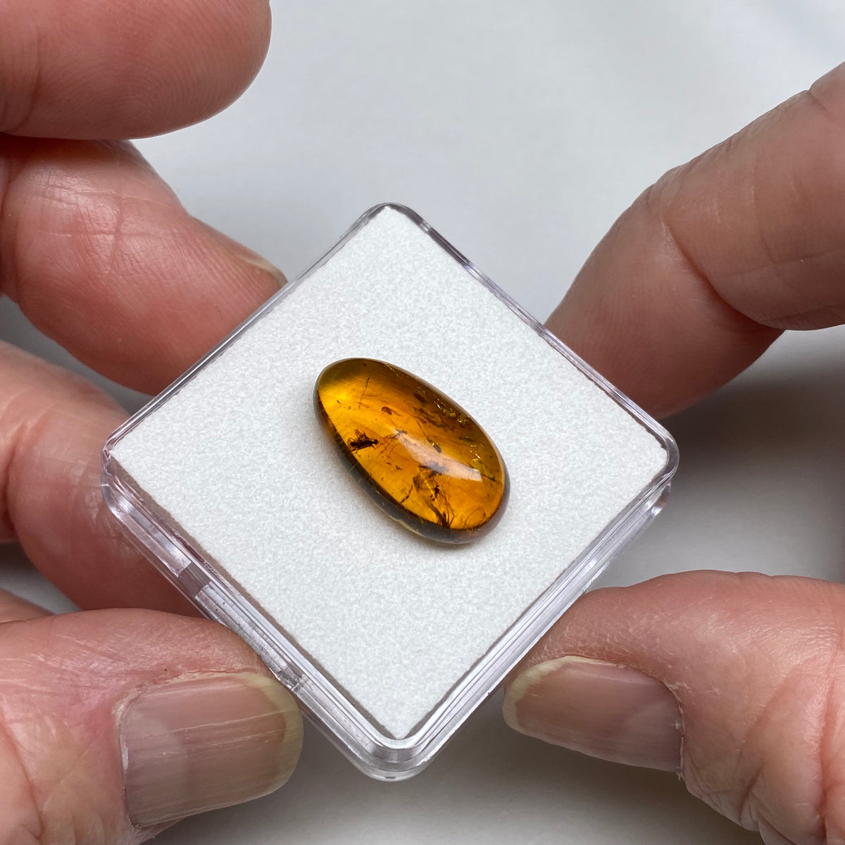 Amber with Fossil Insects – Burma