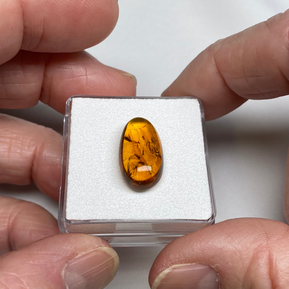 Amber with Fossil Insects – Burma