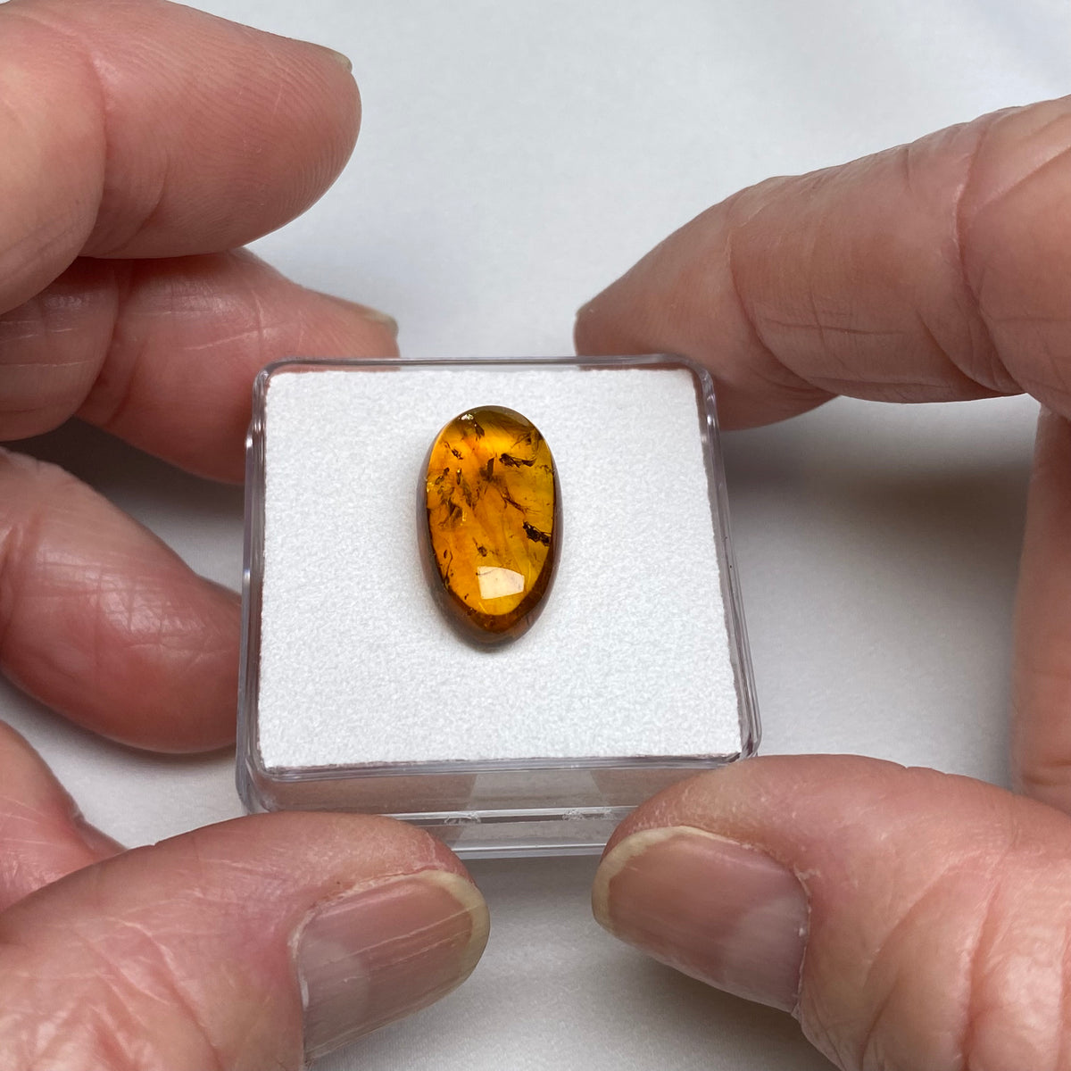 Amber with Fossil Insects – Burma