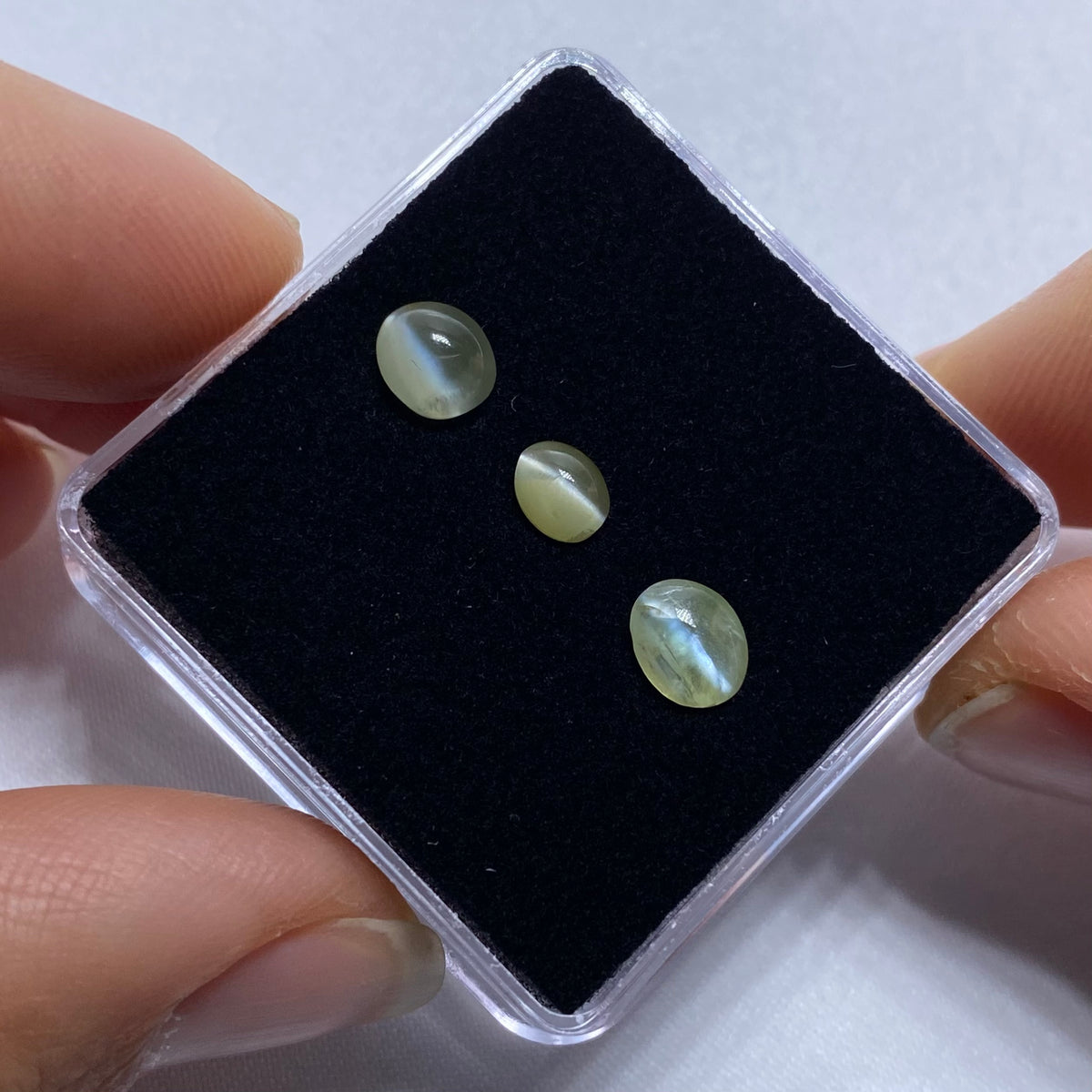 Cat&#39;s Eye Chrysoberyl - Tunduru, Tanzania