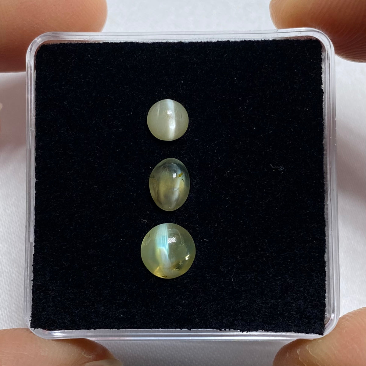 Cat&#39;s Eye Chrysoberyl - Tanzania