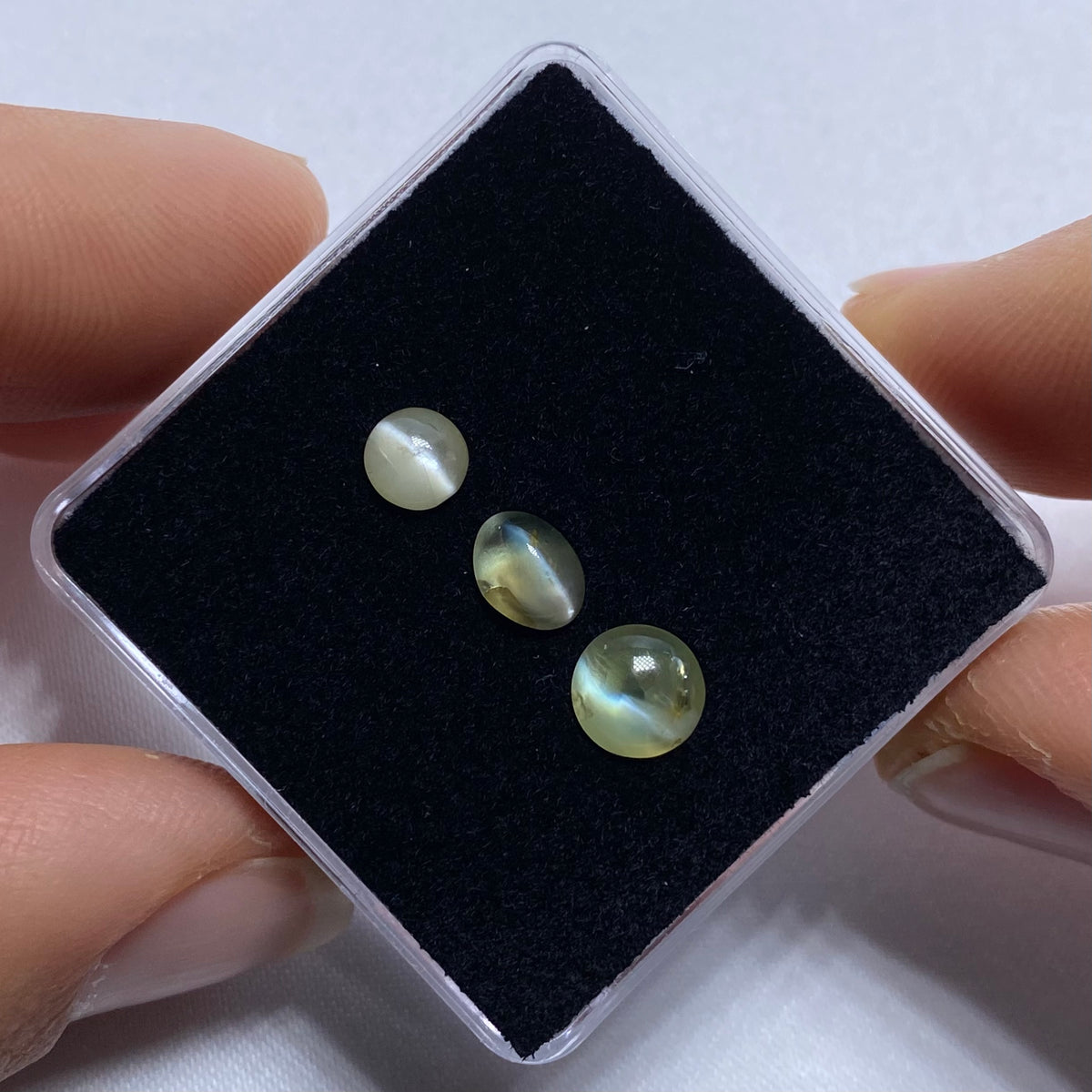 Cat&#39;s Eye Chrysoberyl - Tanzania