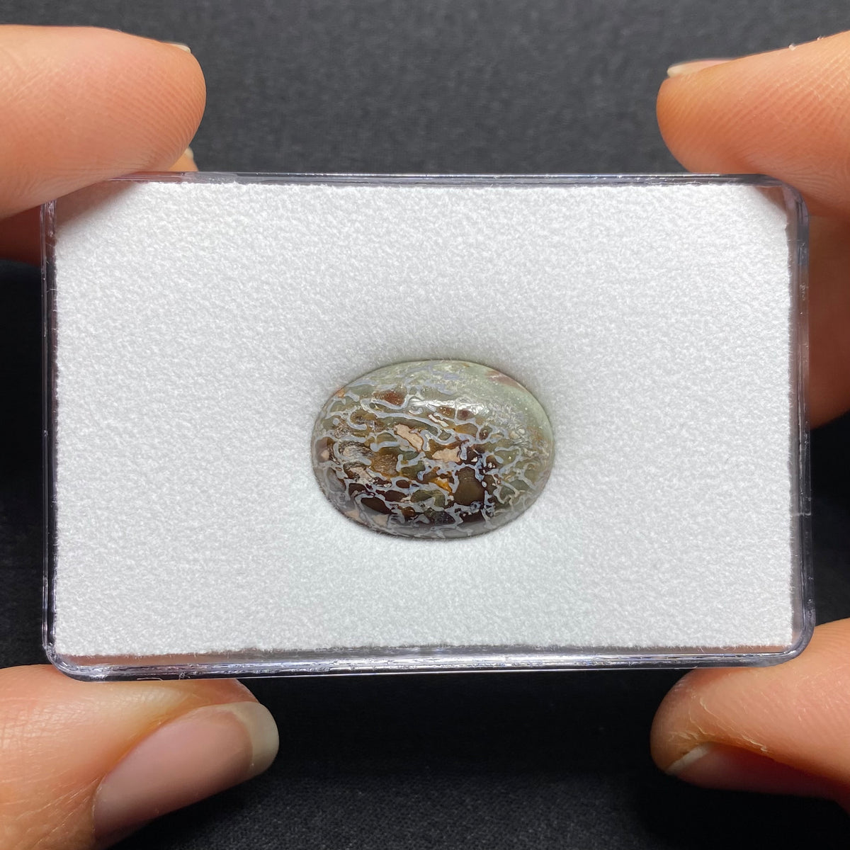 Fossilized Dinosaur Bone Cabochon