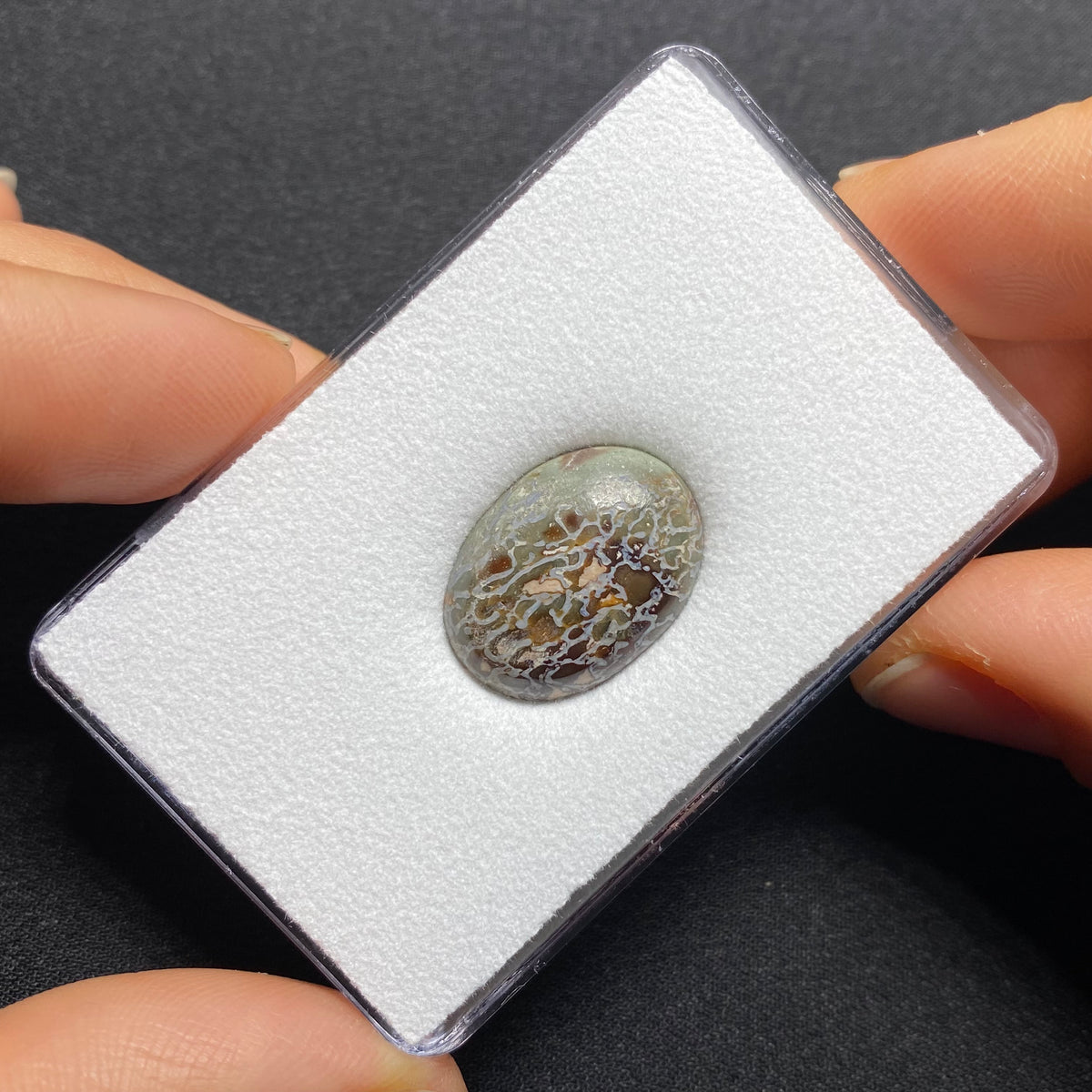 Fossilized Dinosaur Bone Cabochon