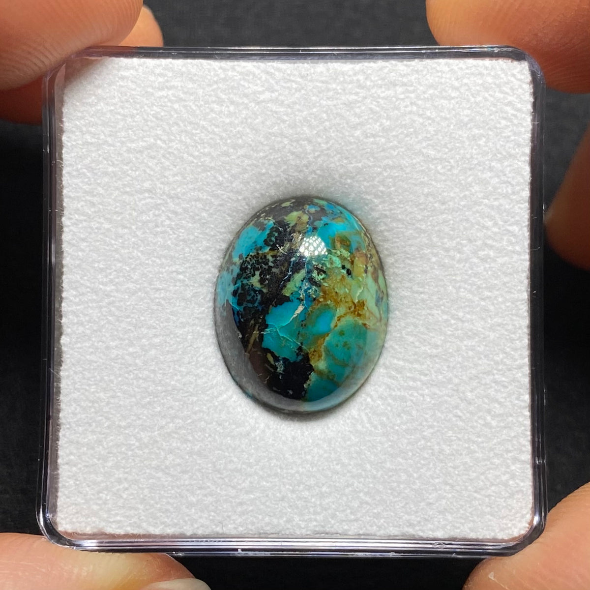 Butterfly Wing Azurite - Arizona, USA