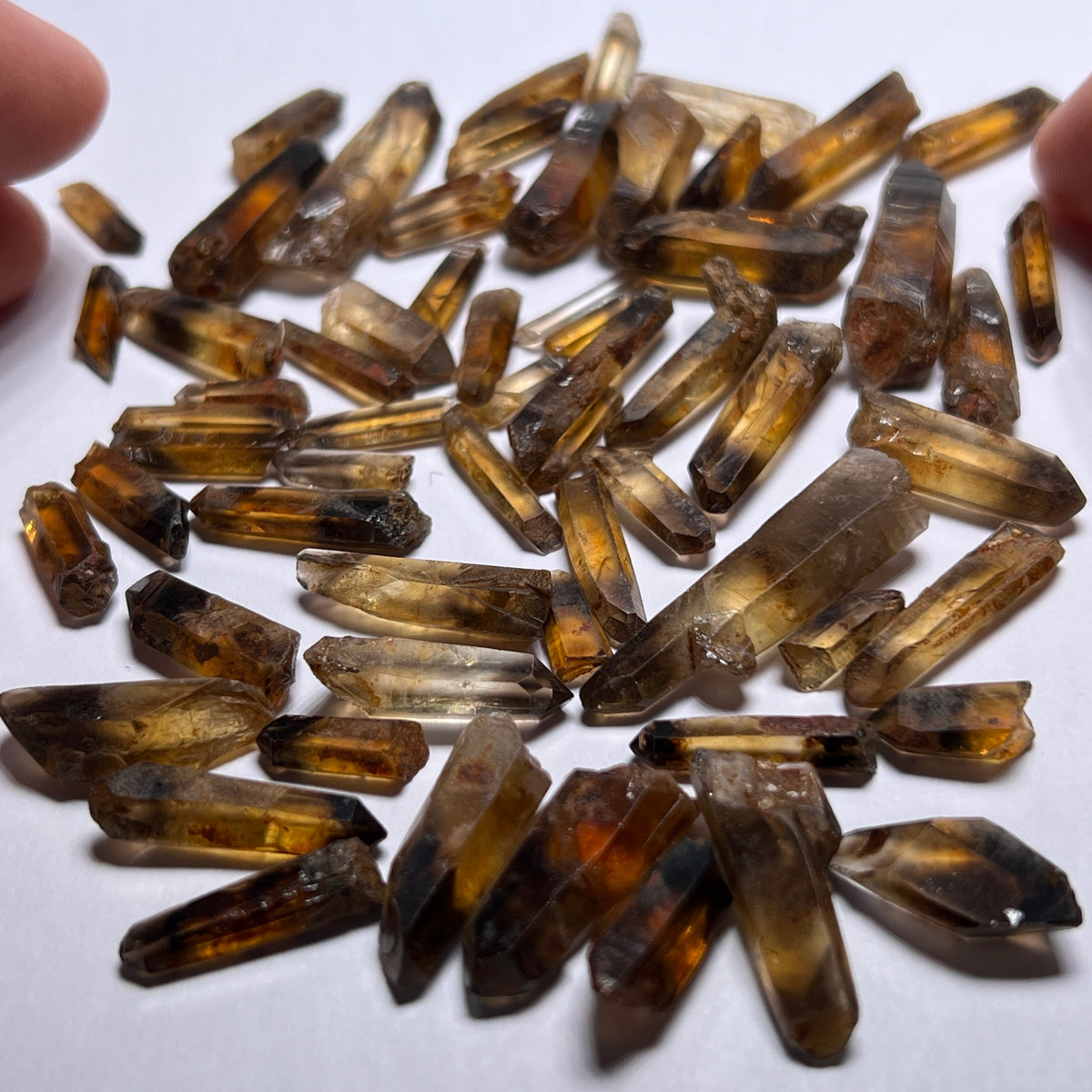Yellow Jacket Quartz Crystals - Nigeria