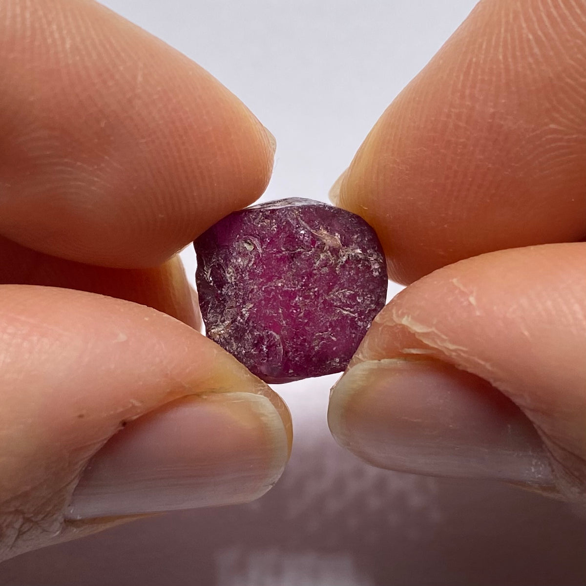 Rhodolite - Tanzania