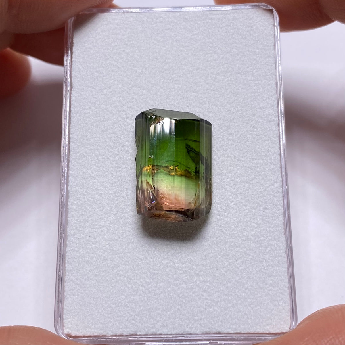 Tri-Color Tourmaline Crystal - Rubaya Mine , DRC