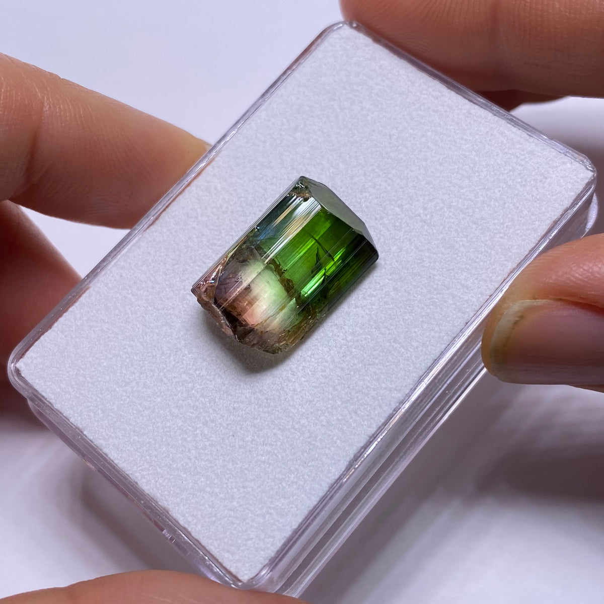 Tri-Color Tourmaline Crystal - Rubaya Mine , DRC