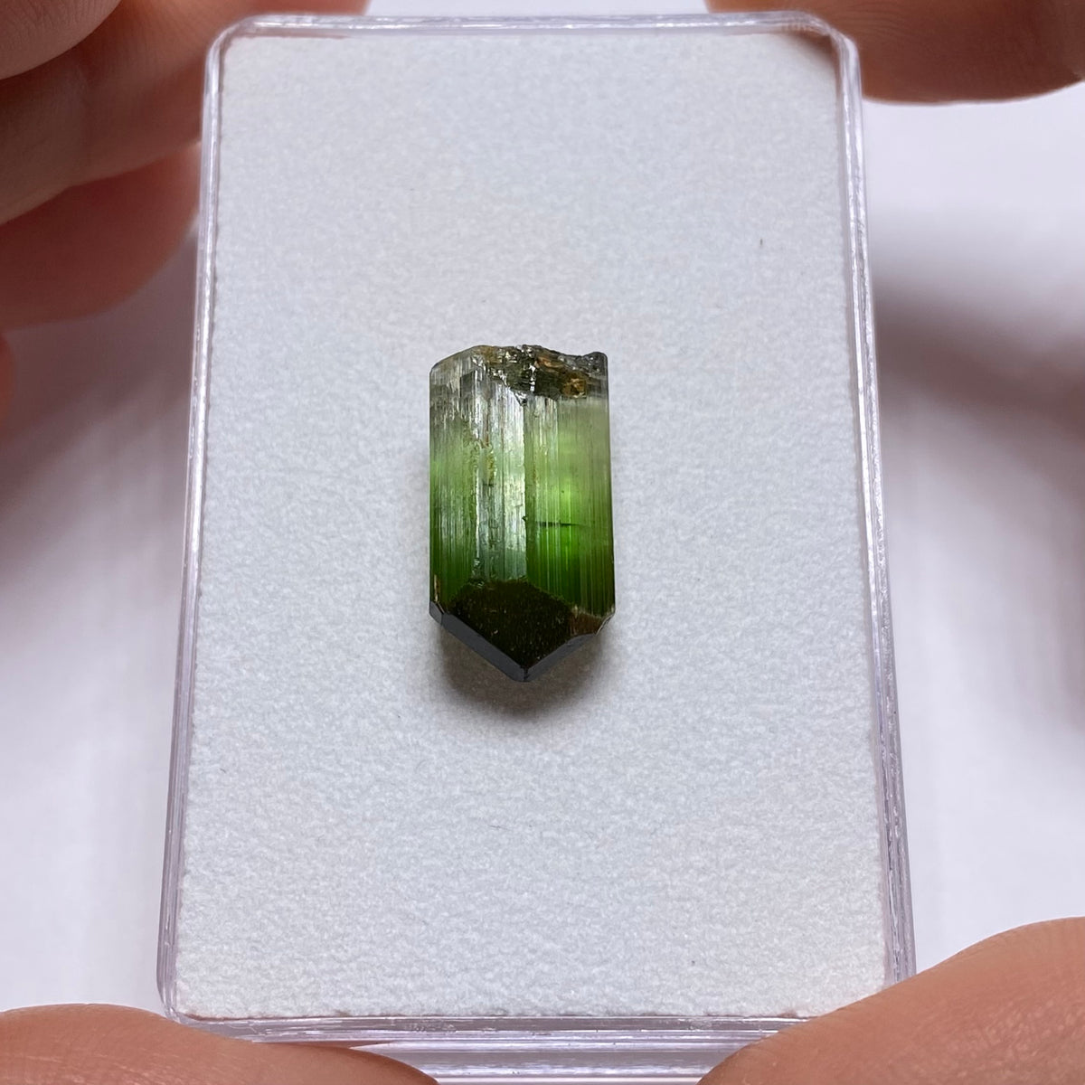 Tourmaline Crystal - Rubaya Mine , DRC