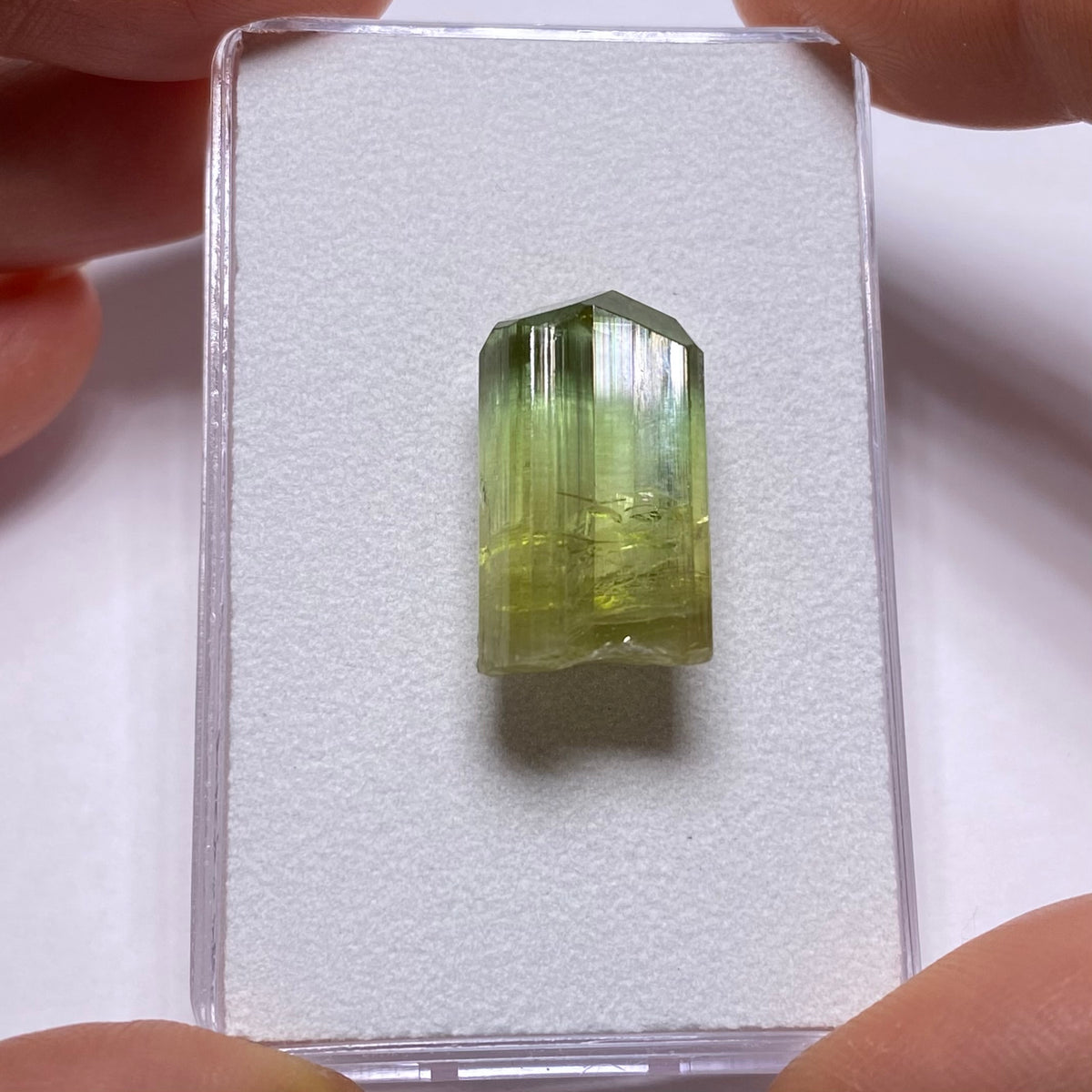 Bi- Color Tourmaline Crystal - Rubaya Mine , DRC