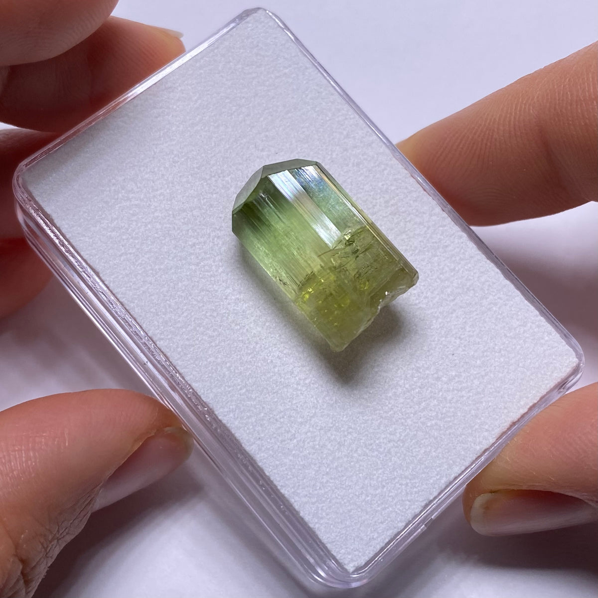 Bi- Color Tourmaline Crystal - Rubaya Mine , DRC