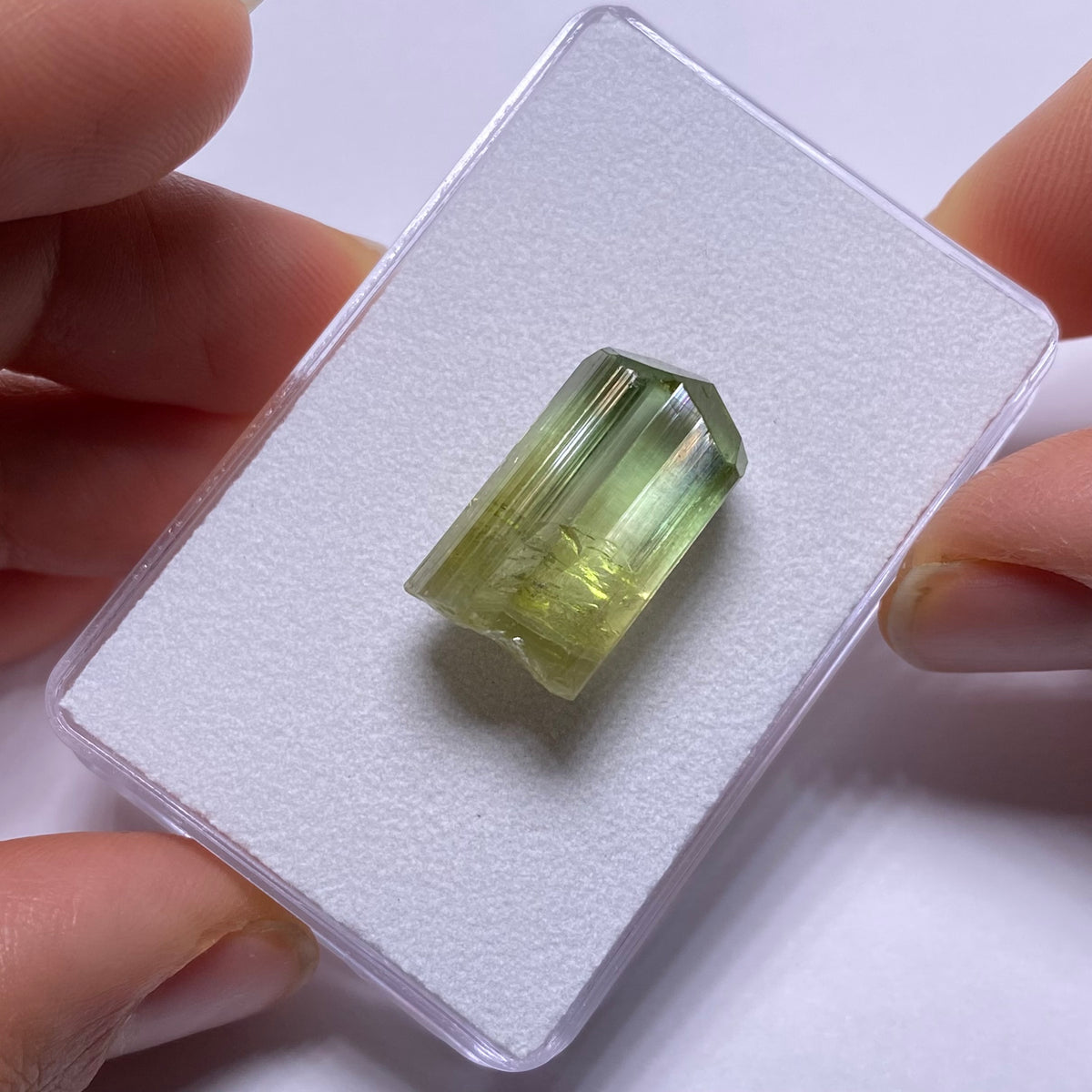 Bi- Color Tourmaline Crystal - Rubaya Mine , DRC