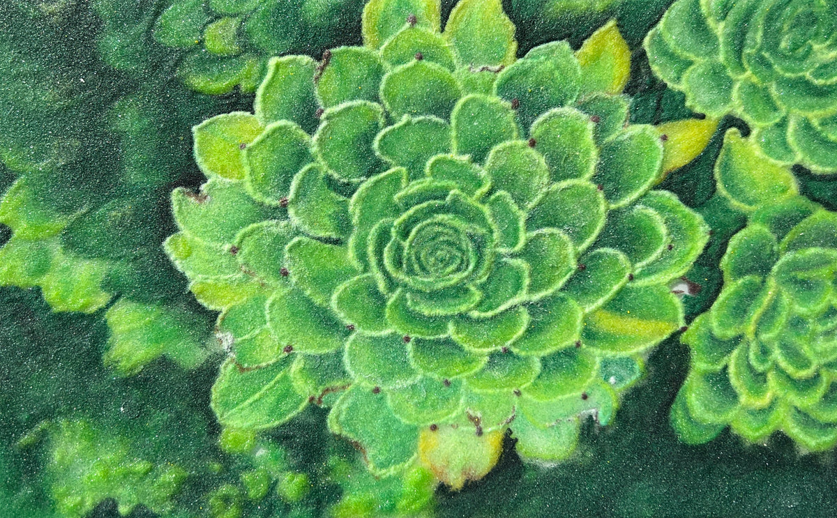 Gem Painting - Succulents