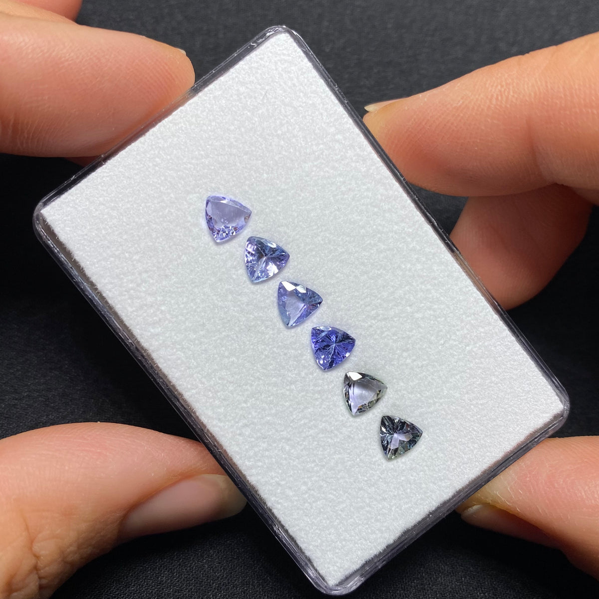 Tanzanite Trillion Set - Tanzania