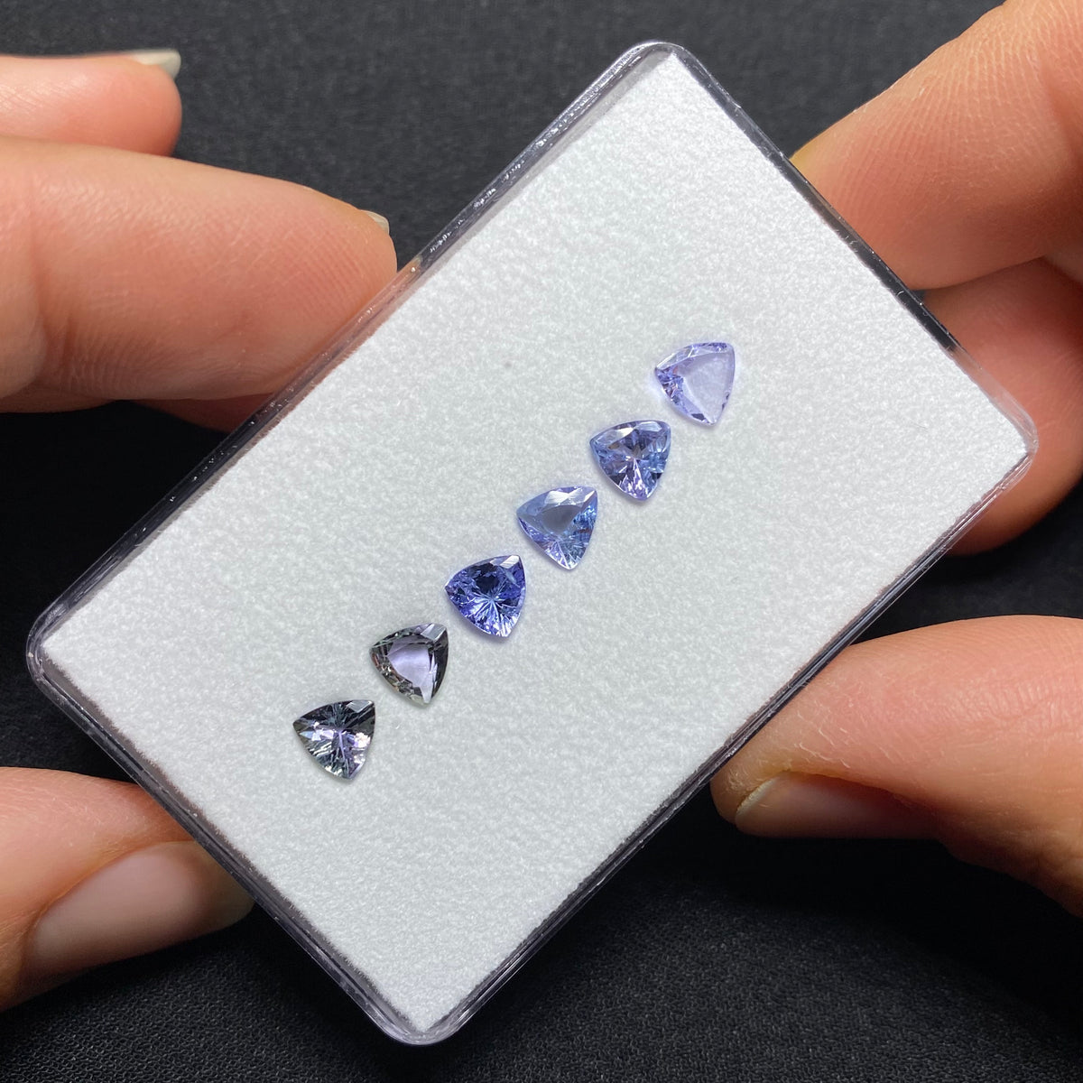 Tanzanite Trillion Set - Tanzania