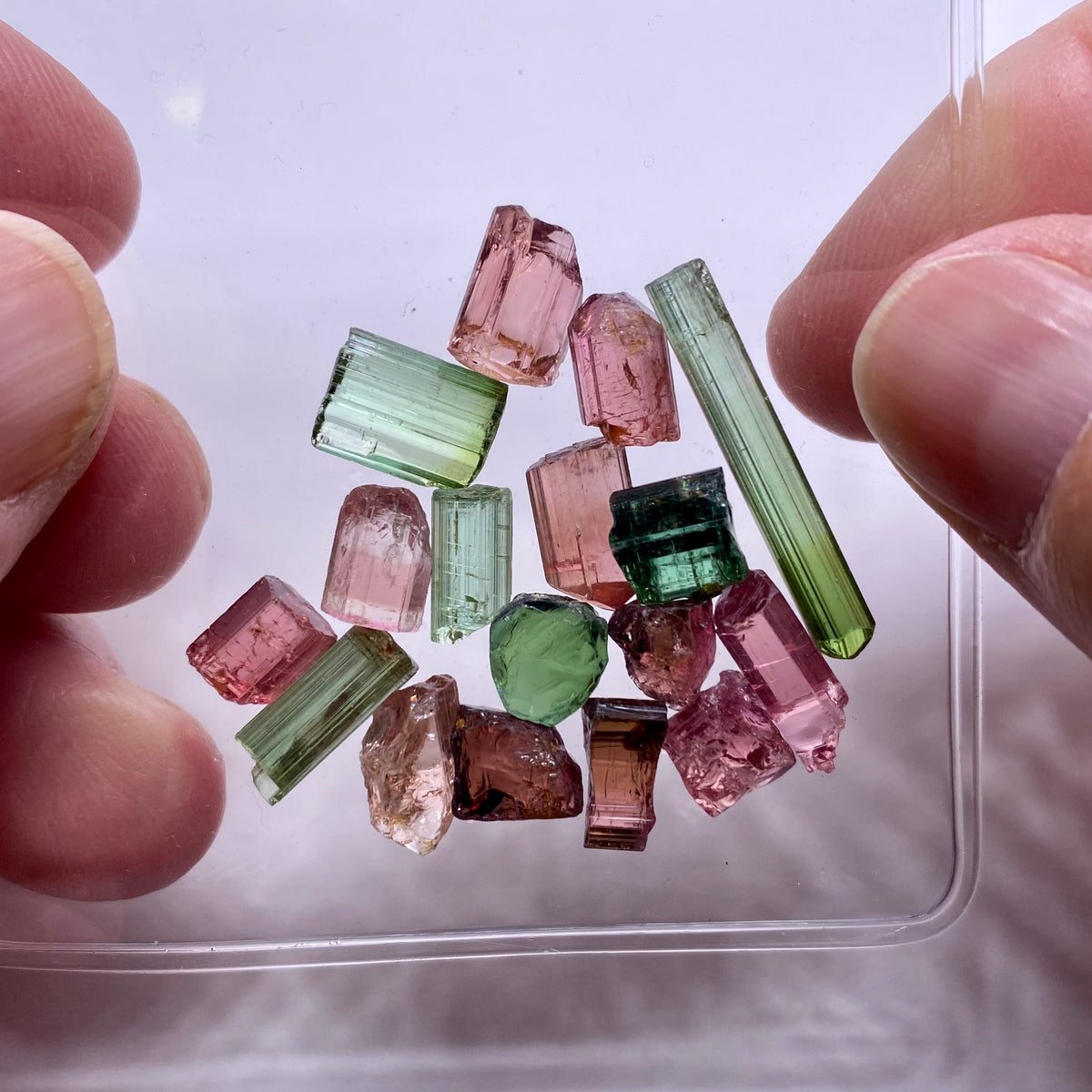 Congo Tourmaline