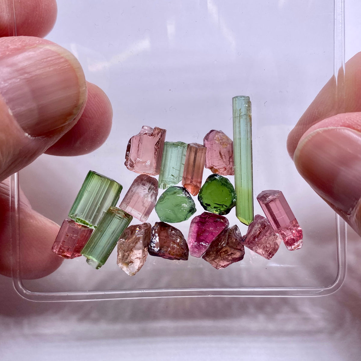 Congo Tourmaline