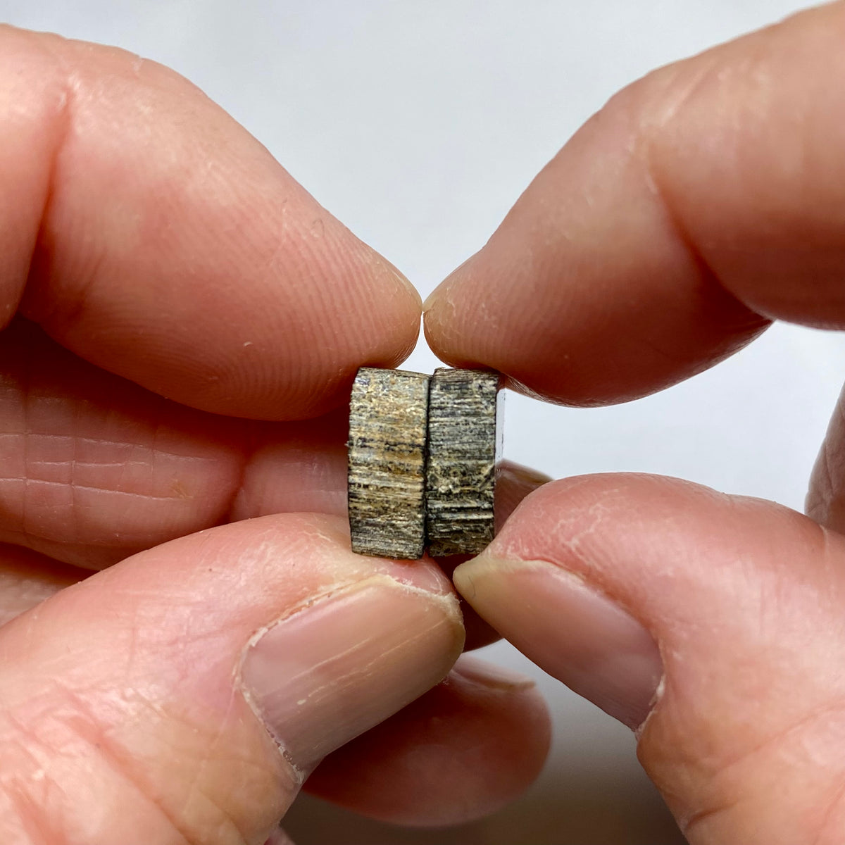 Old-Stock Watermelon Tourmaline Slices - Brazil