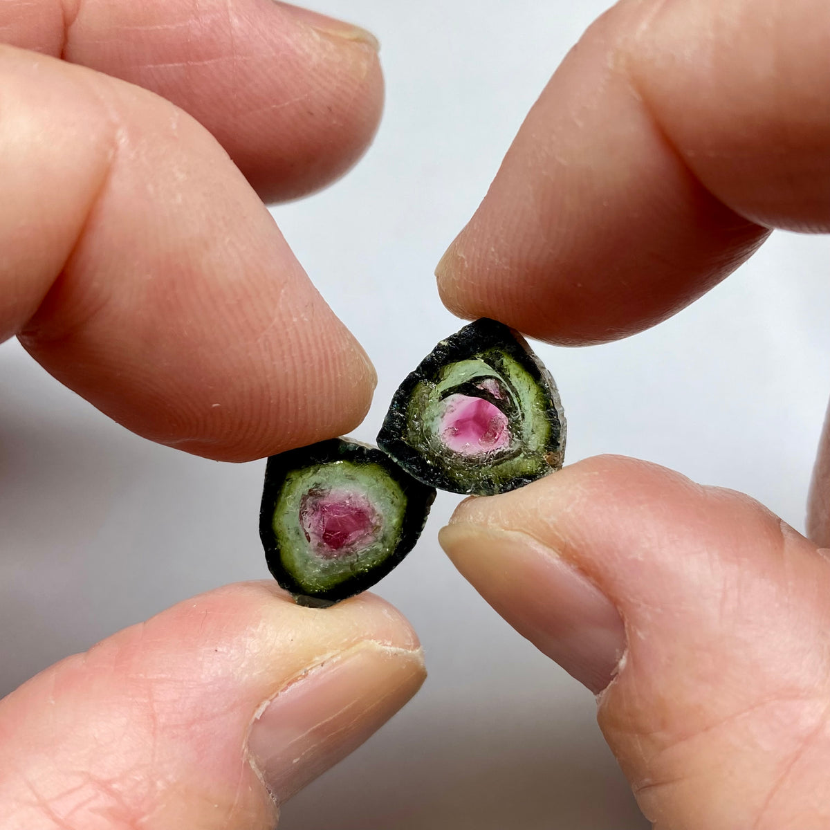 Old-Stock Watermelon Tourmaline Slices - Brazil