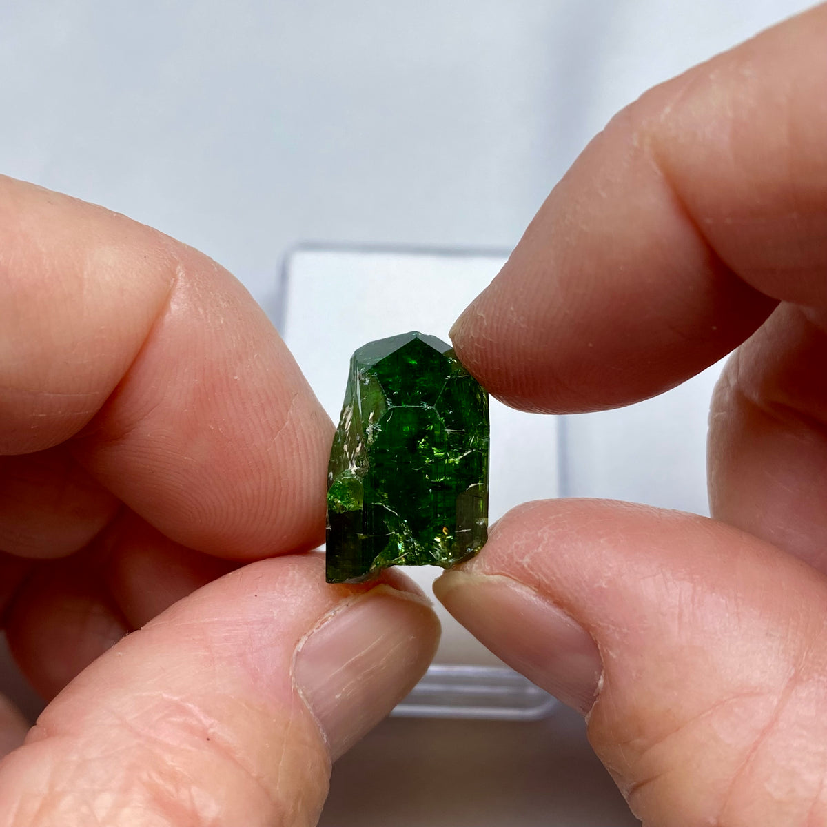 Chrome Tourmaline Crystal - Tanzania