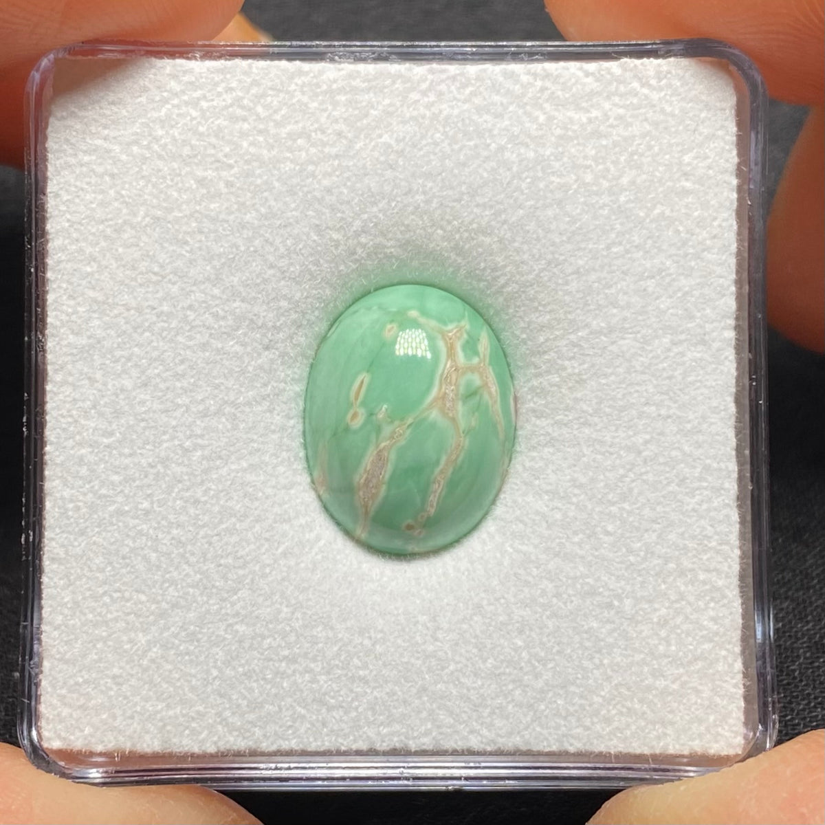 Lucin Variscite Cabochon - Utah, USA