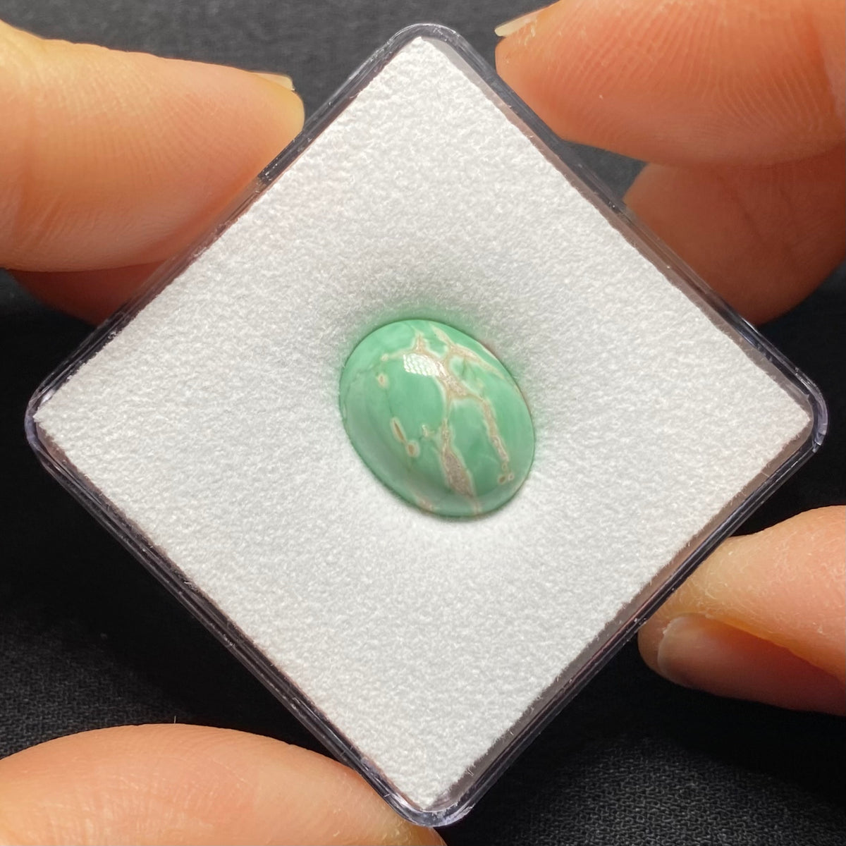 Lucin Variscite Cabochon - Utah, USA