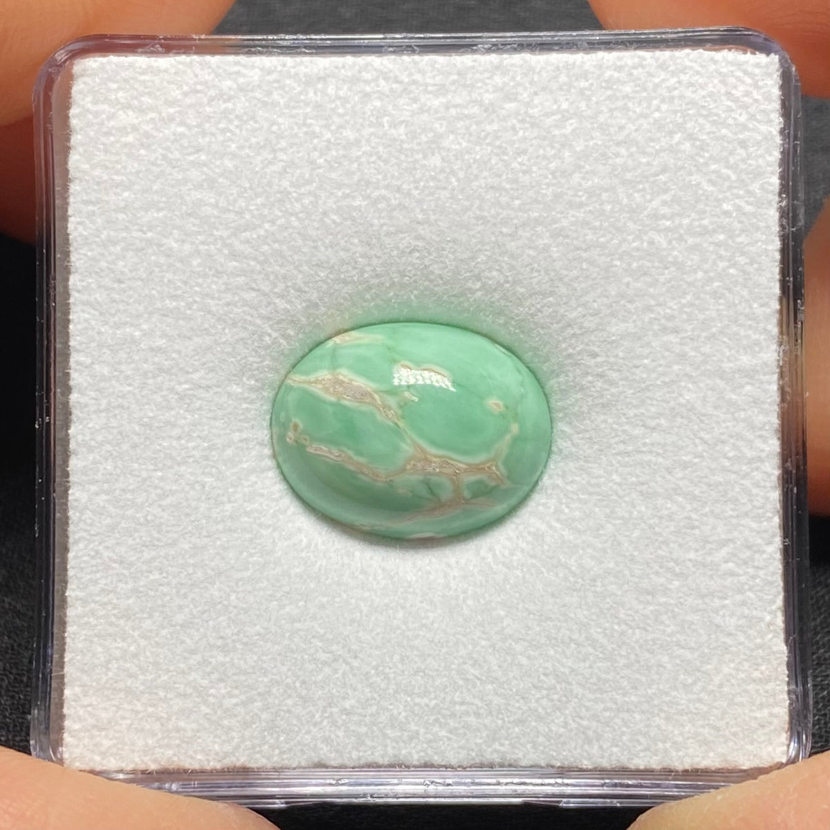 Lucin Variscite Cabochon - Utah, USA