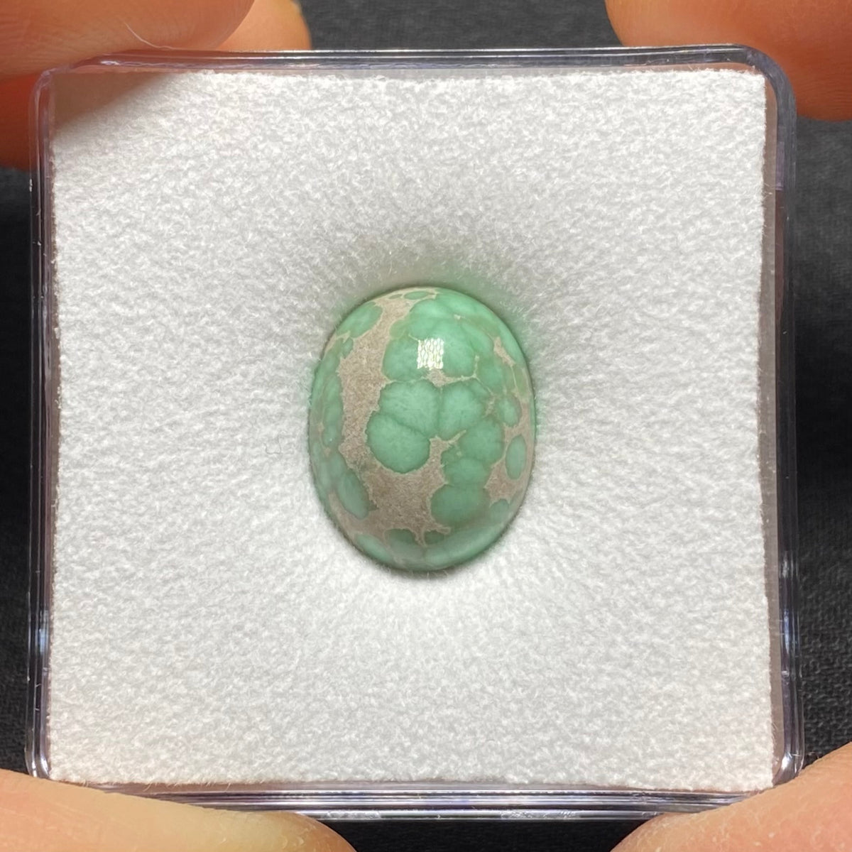 Lucin Variscite Cabochon - Utah, USA