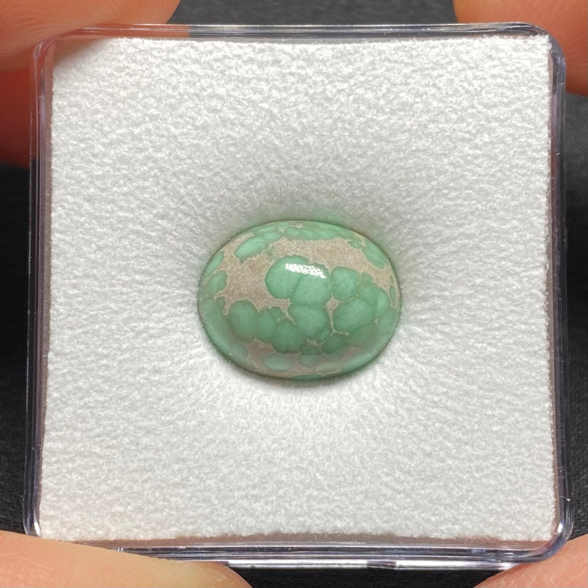 Lucin Variscite Cabochon - Utah, USA