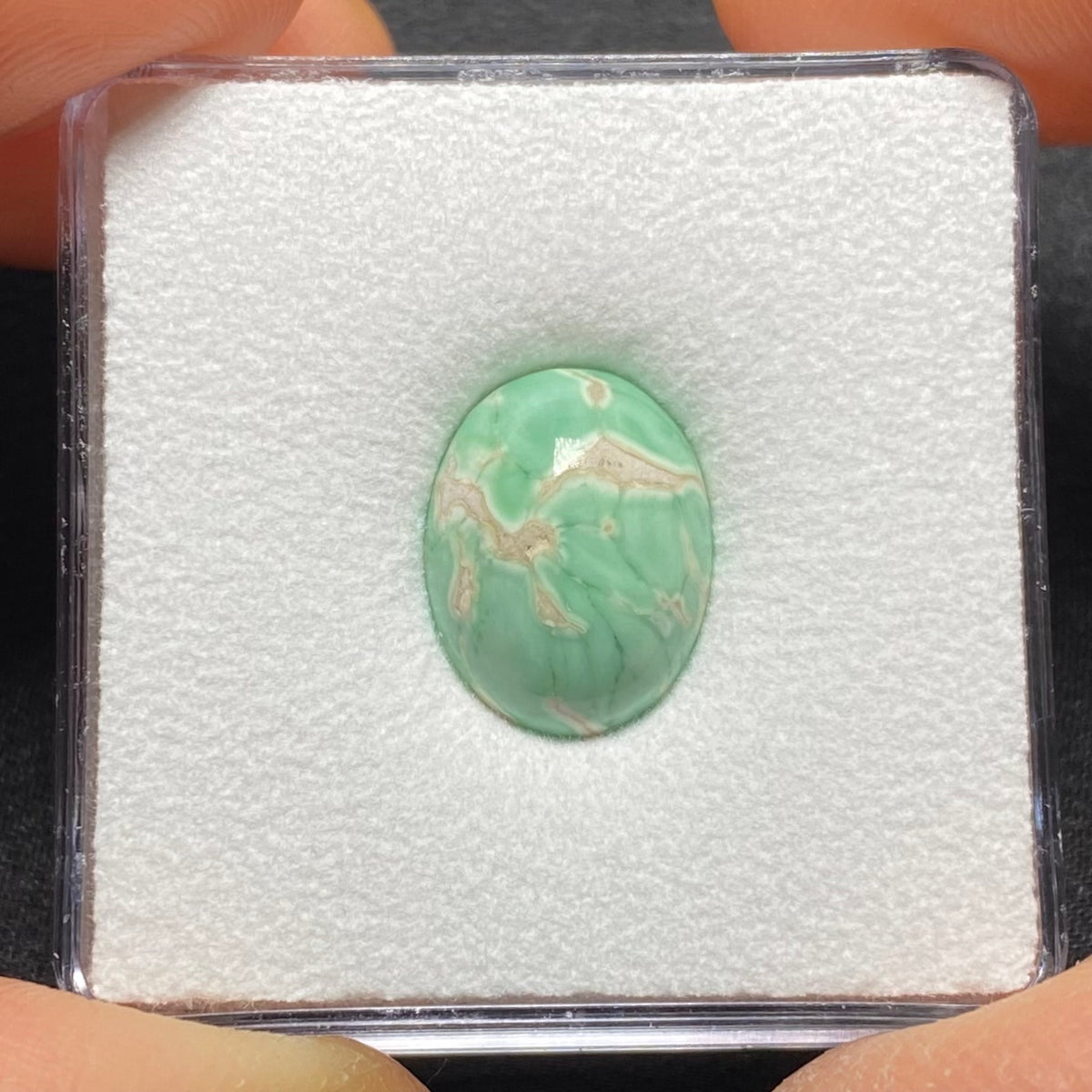 Lucin Variscite Cabochon - Utah, USA