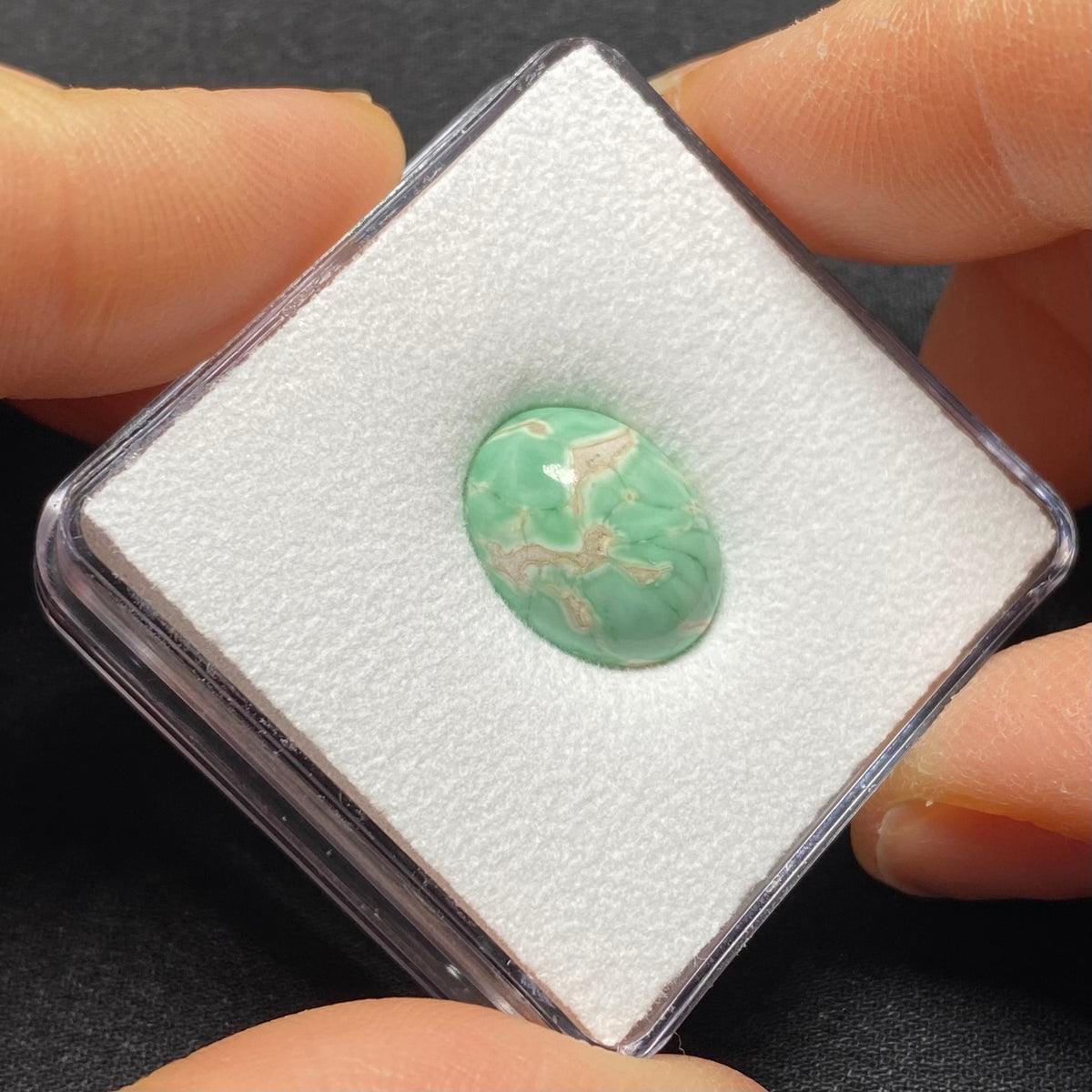 Lucin Variscite Cabochon - Utah, USA