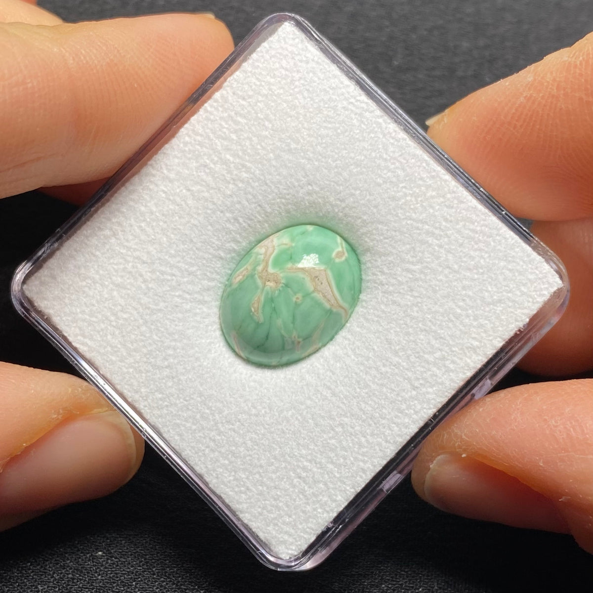 Lucin Variscite Cabochon - Utah, USA