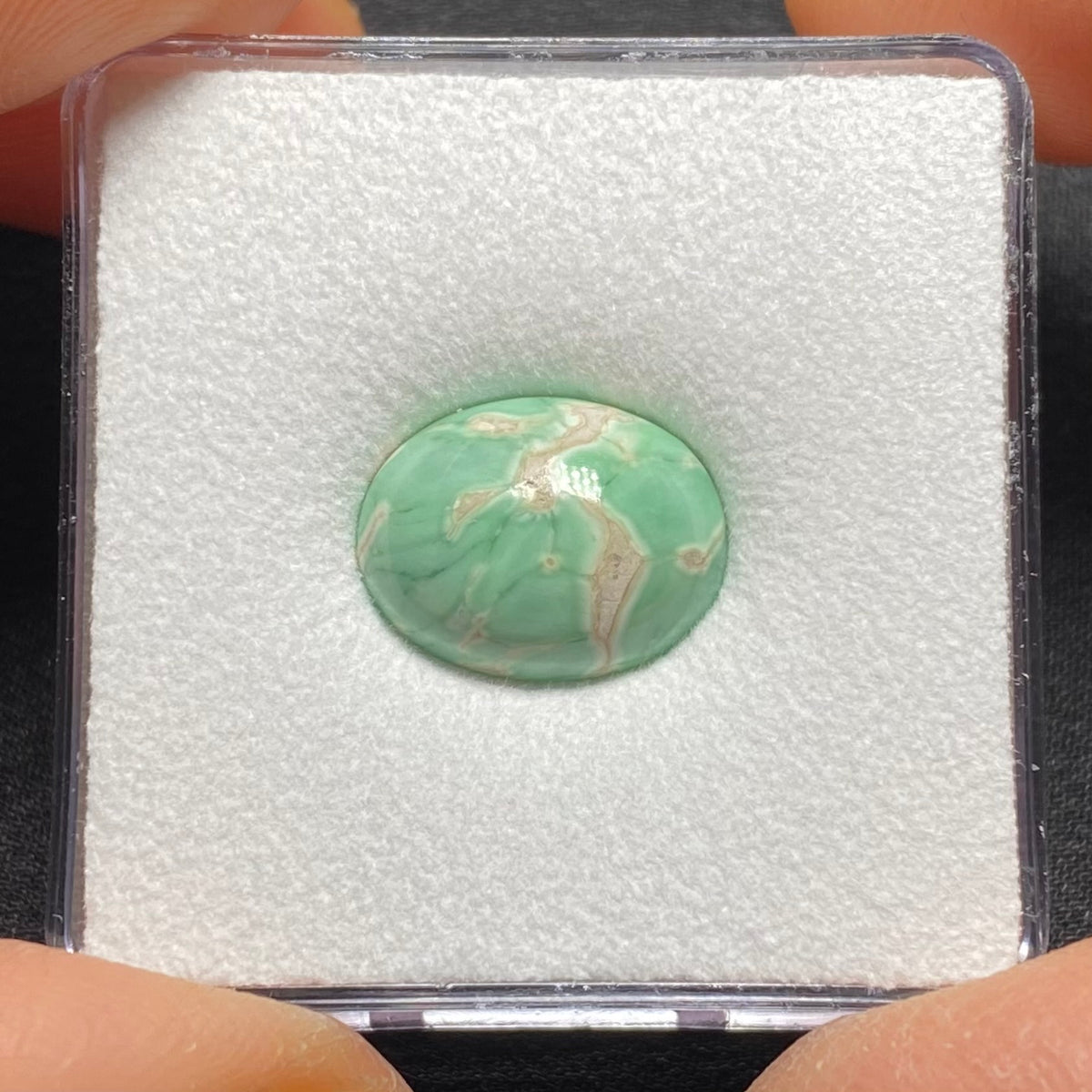 Lucin Variscite Cabochon - Utah, USA