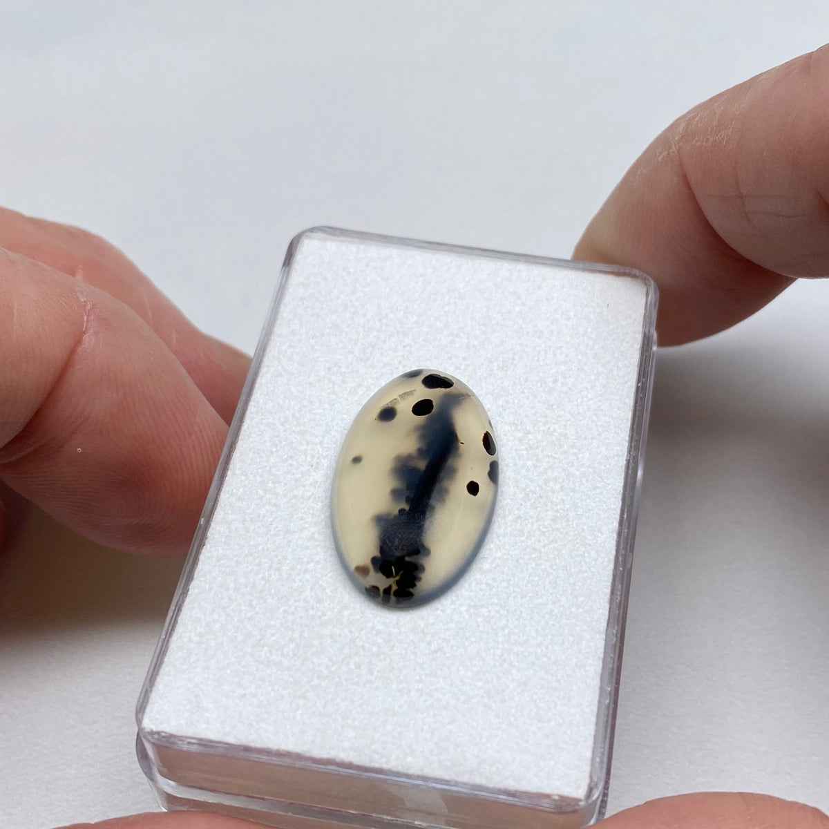 Agate – Montana, USA