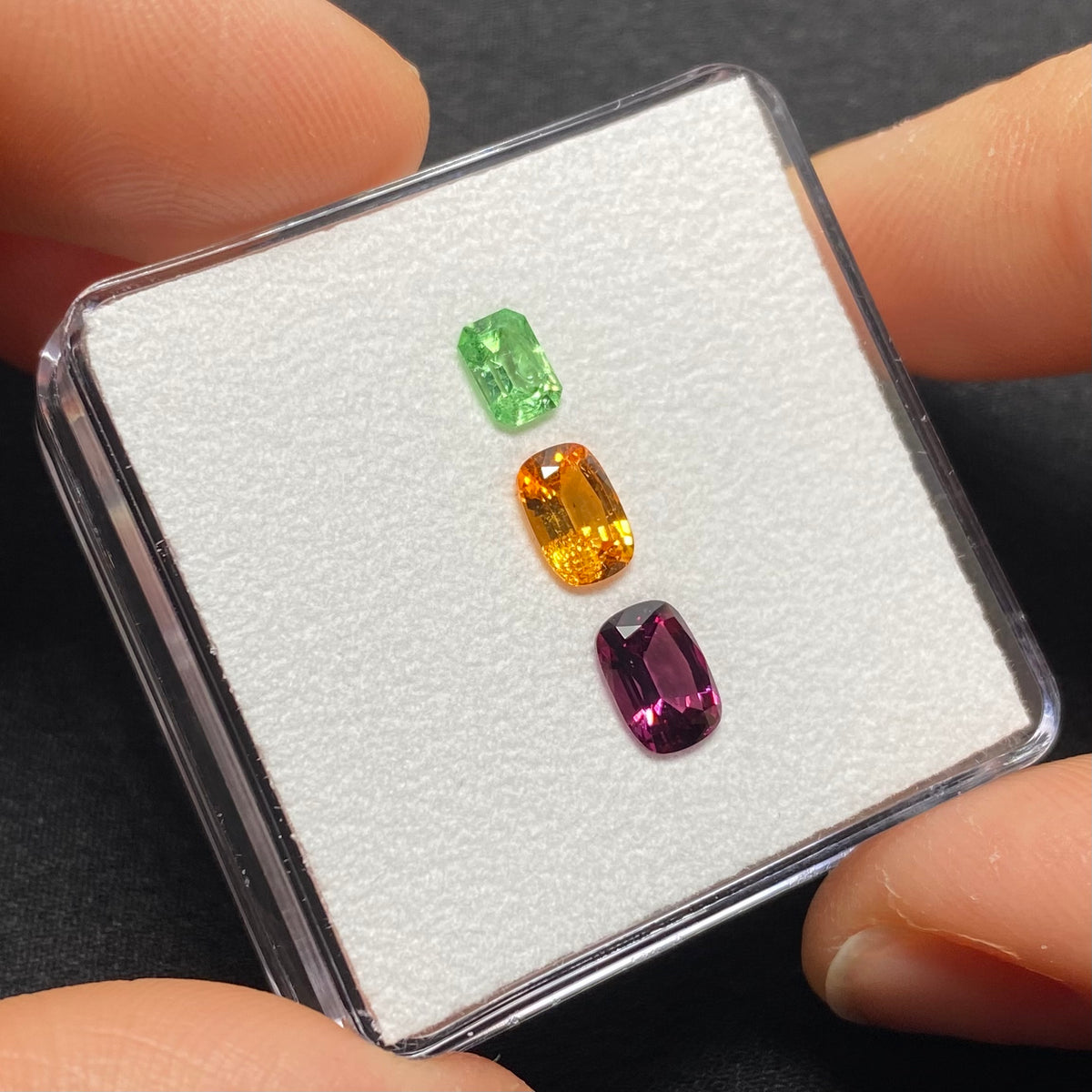 Garnet Medley - Tanzania
