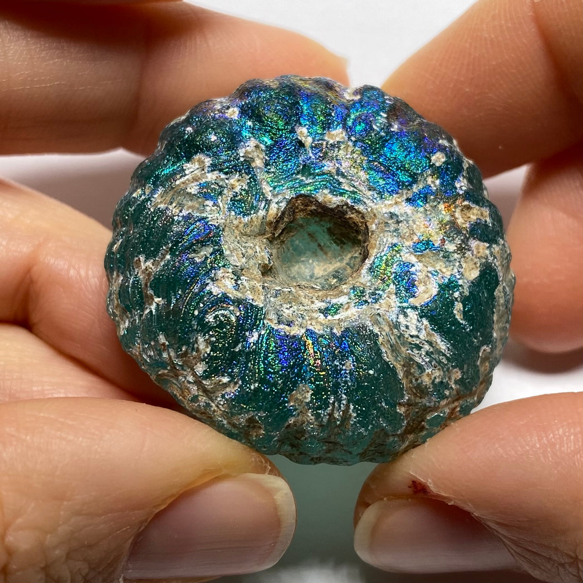 Ancient Glass of The Silk Road - Kushan Empire