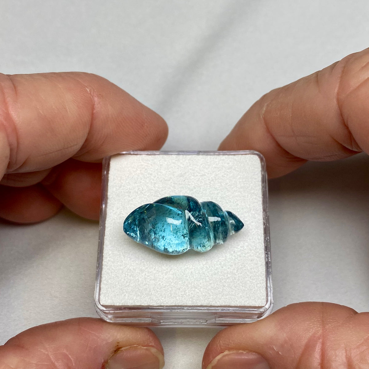 Aquamarine Seashell Carving- Mozambique