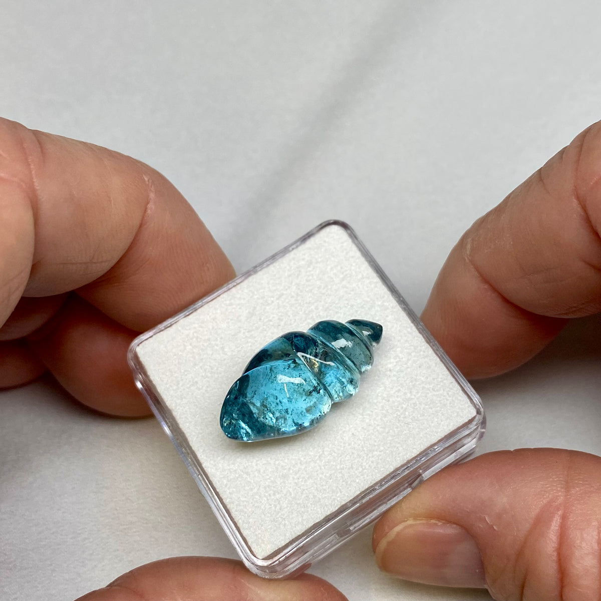 Aquamarine Seashell Carving- Mozambique