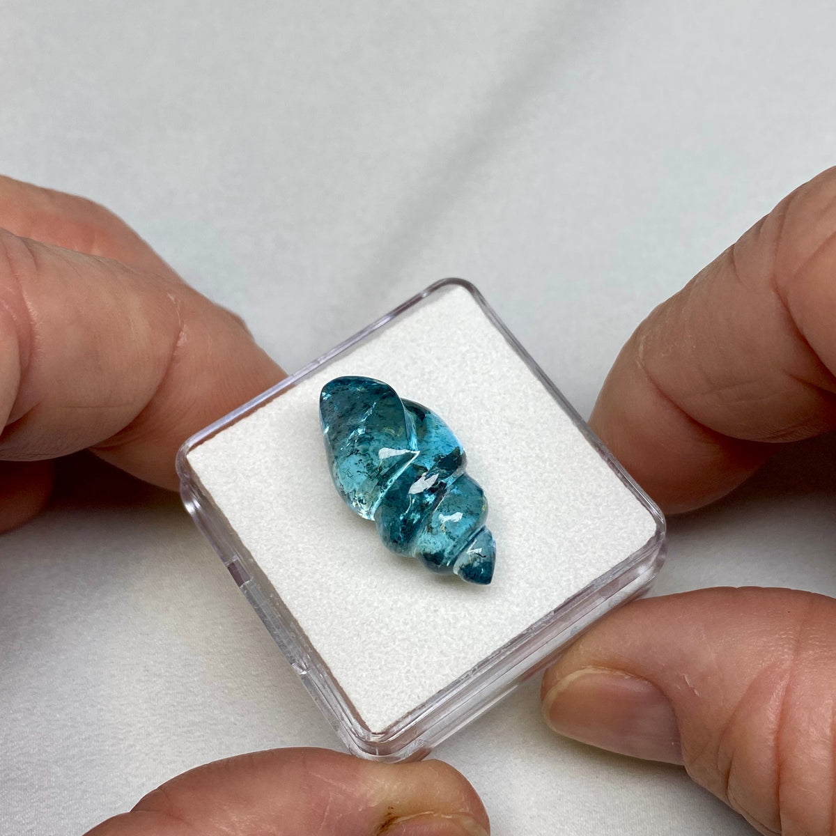 Aquamarine Seashell Carving- Mozambique