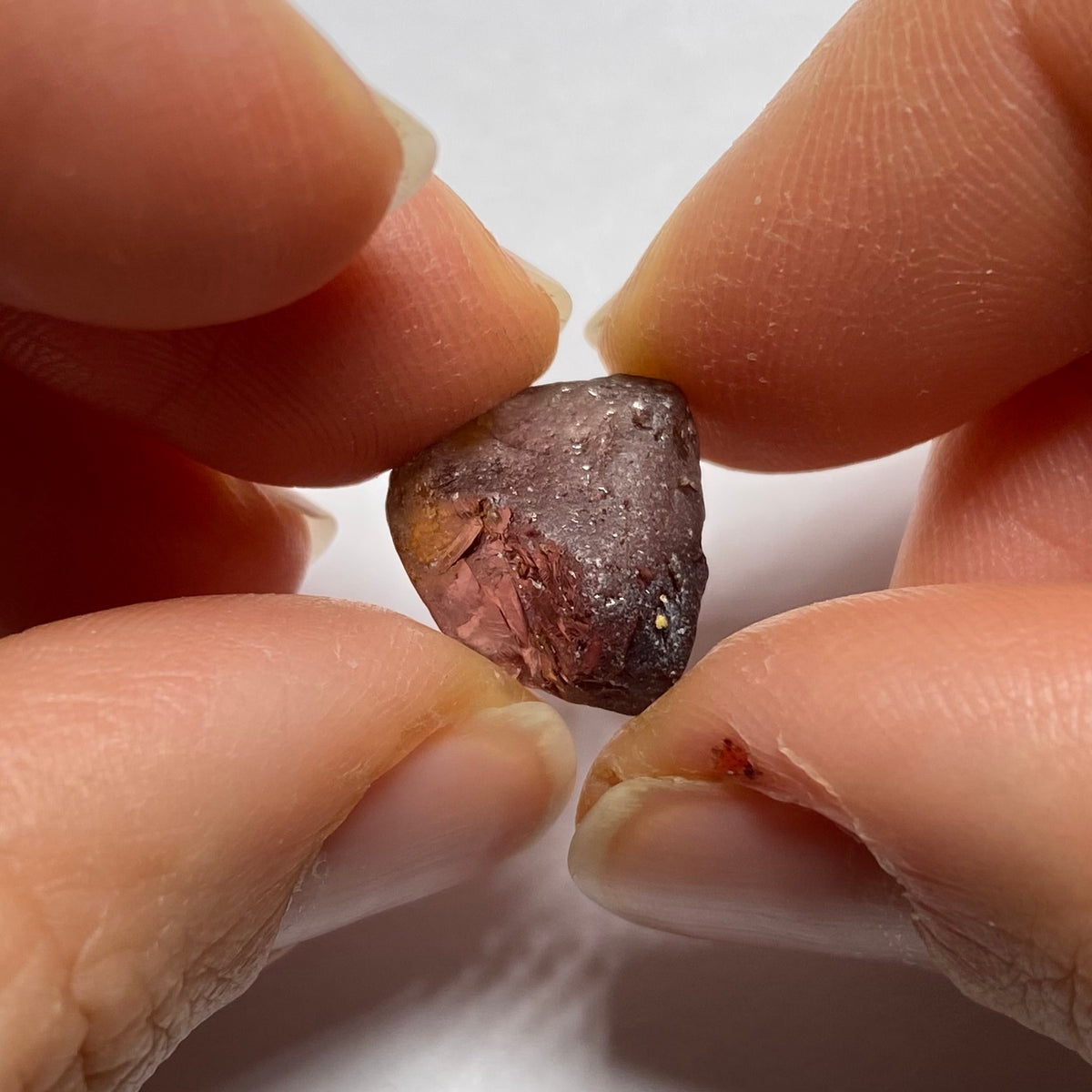 Mozambique Zircon
